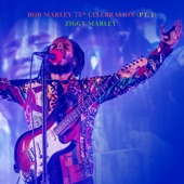 One Love/People Get Ready (Live) artwork