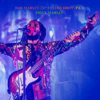 Ziggy Marley - Bob Marley 75th Celebration, Pt. 1 [Live] artwork