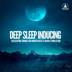 Deep Sleep Inducing: Relaxation Sounds for Mindfulness & Brain Stimulation, Reiki Koyasan by Mindfulness Meditation Music Spa Maestro album reviews, ratings, credits