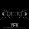 Metamorphosiz: The End Remixes, Vol. 1 - EP album lyrics, reviews, download