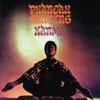 Pharoah Sanders - Creator Has a Master Plan