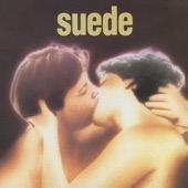 Suede - Animal Nitrate