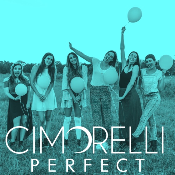 Cover artwork for Perfect