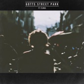 Gotts Street Park - Favourite Kind Of Girl