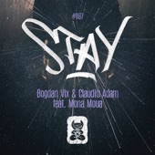 Stay (feat. Mona Moua) artwork