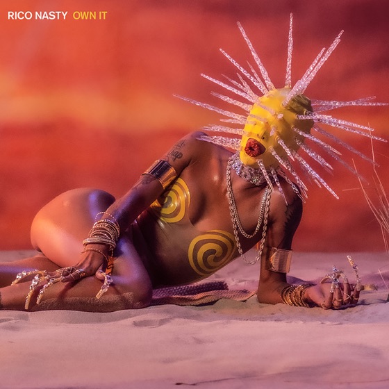 Cover artwork for Own It