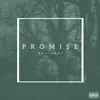 Promise - Single album lyrics, reviews, download