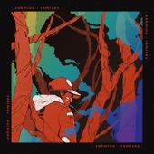 Shaman Theme Song (Roe Deers Remix) artwork