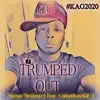 We Trumped Out (feat. Carlosrossimc) - Single album lyrics, reviews, download