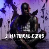 2 Naturalezas - Single