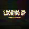 Looking Up (feat. Songbird) - Single album lyrics, reviews, download