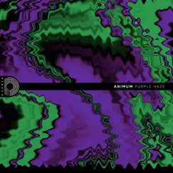 Purple Haze - Single by Animum album reviews, ratings, credits
