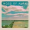 Stone - Moss Of Aura lyrics