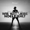 Wie viel Liebe noch fehlt - Single