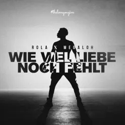 Wie viel Liebe noch fehlt - Single - Megaloh Wie viel Liebe noch fehlt - Single - Megaloh