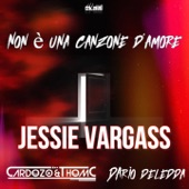 Non è una canzone d'amore artwork