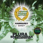 Hammarby Bandy - EP - Per Bredhammar & Hammarbyspelare