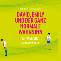 Christian Marx, Lutz Urban & FundMusic - David, Emily und der ganz normale Wahnsinn artwork