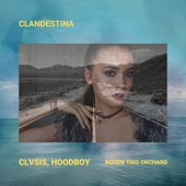 Clandestina (original version) artwork