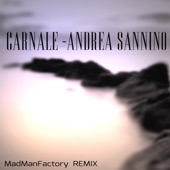 Carnale (feat. Andrea Sannino) [Remix] artwork