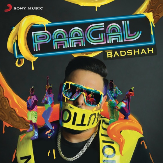Cover artwork for Paagal