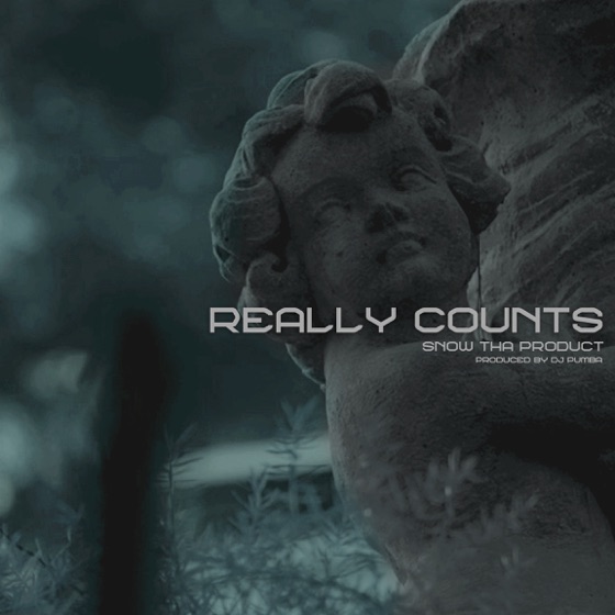 Cover artwork for Really Counts