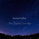 The Digital Love Age artwork