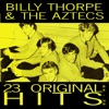 Billy Thorpe - It's Almost Summer