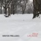 Falling Snow - Prof. Lacasse lyrics