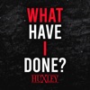 What Have I Done? - Single