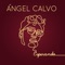 Grillos - Ángel Calvo lyrics