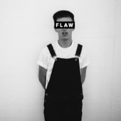 Flaw - Shelter Boy