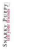 Snarky Puppy - Anomynous