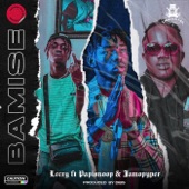 Bamise (feat. Papisnoop & Jamopyper) artwork