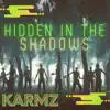 Hidden In the Shadows - Single album lyrics, reviews, download