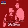 Delima (feat. Yulia Citra) - Single