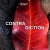 Contradiction - Single