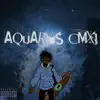 Aquarius 91111 - Single album lyrics, reviews, download