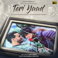 Rahat Fateh Ali Khan - Teri Yaad (feat. Anita Hassanandani Reddy & Rohit Reddy) artwork