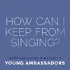 How Can I Keep from Singing? - Single album lyrics, reviews, download
