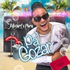 Pa Gozar - Single