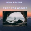 C'est par hasard - EP