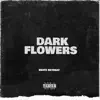 Dark Flow - Single album lyrics, reviews, download