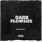 Dark Flow - Beatz lyrics