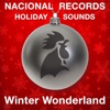 Winter Wonderland - Single