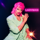 Ladyman artwork