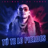 Tú Te Lo Pierdes artwork