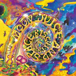 Moon Juice and Space Biscuits by DTSQ album reviews, ratings, credits