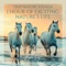 Wild Horses on the Beach (feat. Anandra) - Jane - Angela Flying lyrics