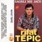 Oj Krajino (with Rifat Tepic) - Rifat Tepic lyrics